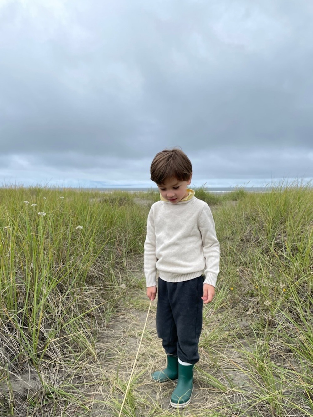 Jcrew Crewcuts Boys Classic Cream Rollneck Sweater 4/5Y